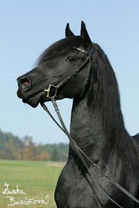 staj_ufonek2340.jpg